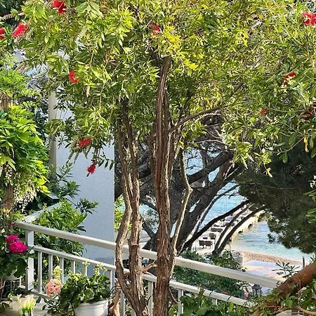 דירה Beachfront *